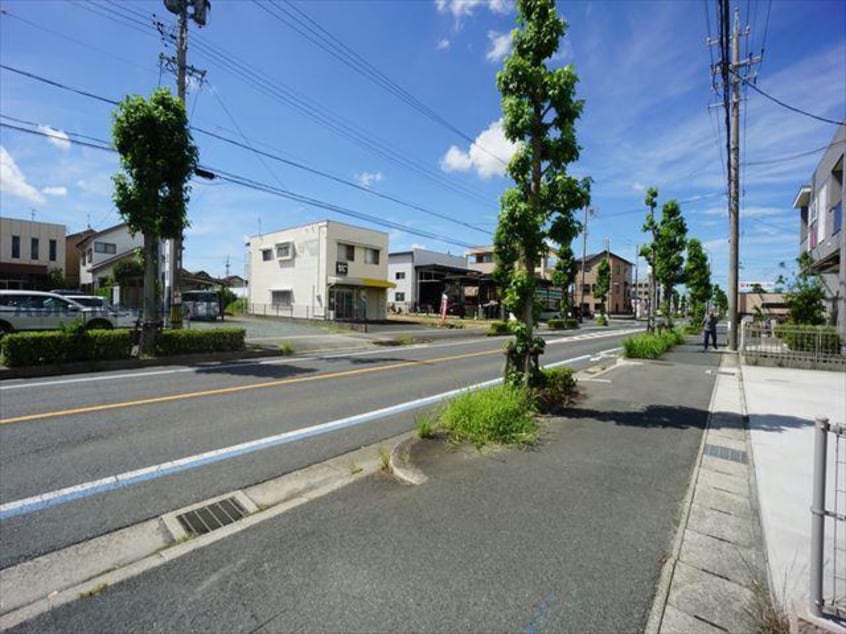  Ｃａｌｍｅ　Ａｌｂａ