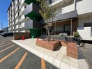  ＴＥＮＯＨＡ　ＴＯＹＯＨＡＳＨＩ