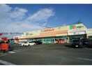 ドミー神野店(スーパー)まで836m ＴＥＮＯＨＡ　ＴＯＹＯＨＡＳＨＩ