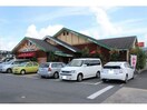 コメダ珈琲店豊橋藤沢店(その他飲食（ファミレスなど）)まで2331m ＴＥＮＯＨＡ　ＴＯＹＯＨＡＳＨＩ