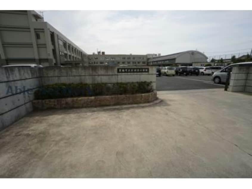 豊橋市立吉田方小学校(小学校)まで735m リゼ