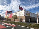ダイソー豊橋下地店(ディスカウントショップ)まで664m アイビー　コートＡ・Ｂ