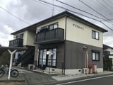 アプリコットC