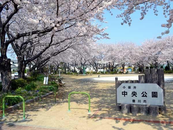 中央公園(公園)まで1596m エーエスコートⅢ