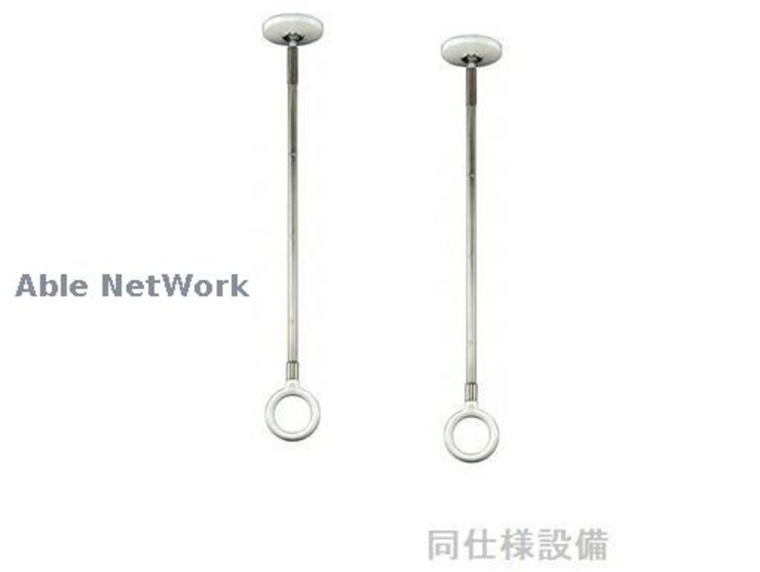 ※同型イメージ ミモザ