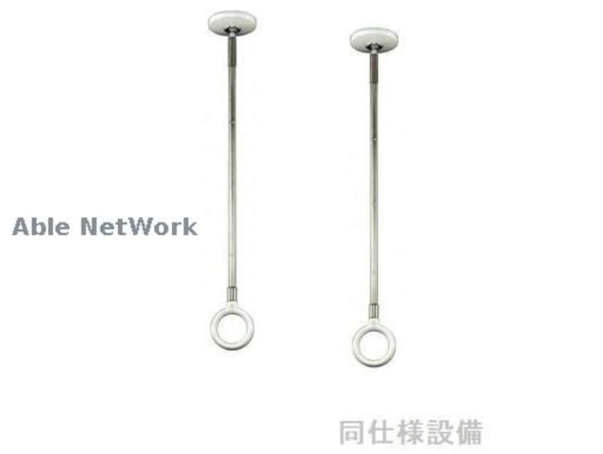 ※同型イメージ ミモザ