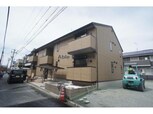 ランド花