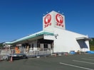 コメリハード＆グリーン西大洲店(電気量販店/ホームセンター)まで1084m エスポワール・大洲