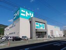 ニトリ大洲店(電気量販店/ホームセンター)まで1063m パークベルズ徳森