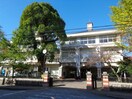 大洲市立大洲小学校(小学校)まで1257m パラティーノ　Ⅰ