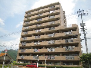 サントノーレ西大洲