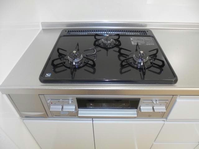  ムーン　ライトⅡ