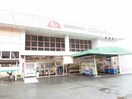 木村チェーン宇和店(スーパー)まで211m ボヌール Ｋ ウワ Ａ