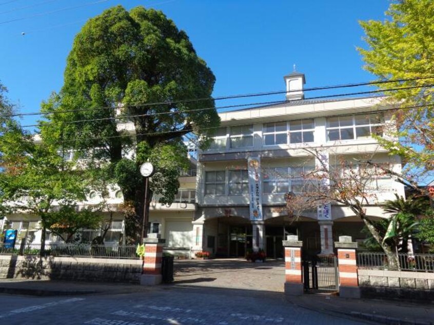 大洲市立大洲小学校(小学校)まで1078m ソラーナ・Ｈ