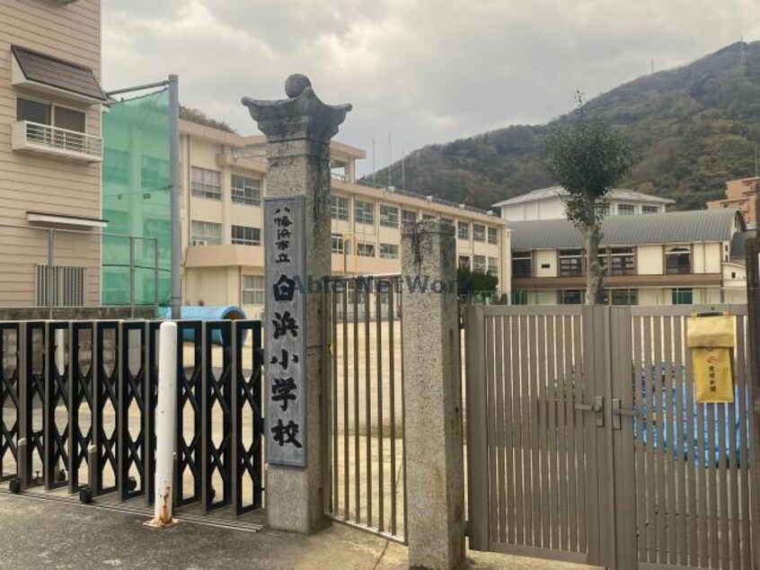 八幡浜市立白浜小学校(小学校)まで292m メゾン喜多町