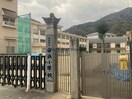 八幡浜市立白浜小学校(小学校)まで292m メゾン喜多町
