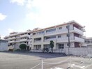 藍住町立藍住南小学校(小学校)まで565m サンシェール　Ｃ