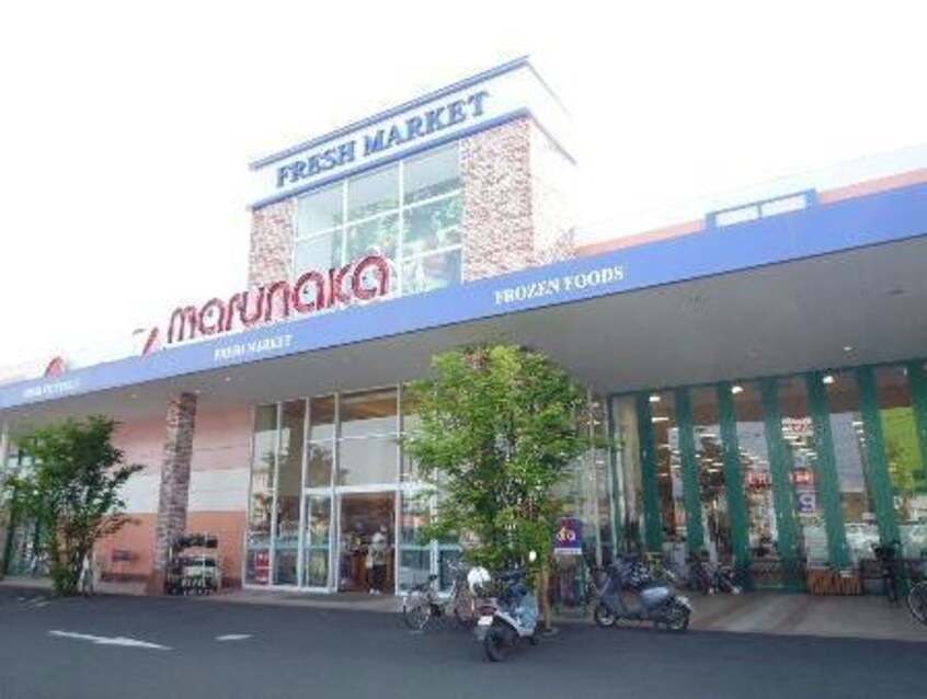 マルナカ大寺店(スーパー)まで255m 愛日ハイツ平田