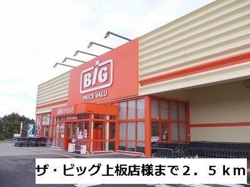 ザ・ビッグ上板店(ディスカウントショップ)まで507m 愛日ハイツ椎本