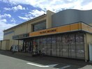 TSUTAYA北島店(ビデオ/DVD)まで1043m パンタナールⅡＣ