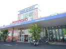 マルナカ大寺店(スーパー)まで205m グランコートフェイマスＣ