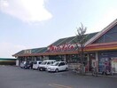 マルナカ吉野店(スーパー)まで3038m グリーン ウイング E