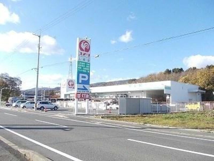 コメリハード＆グリーン上板店(電気量販店/ホームセンター)まで323m グリーン ウイング W