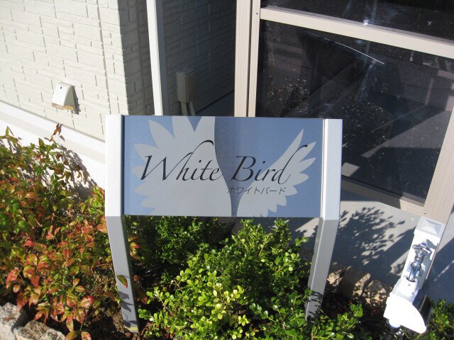  ホワイトバードＡ