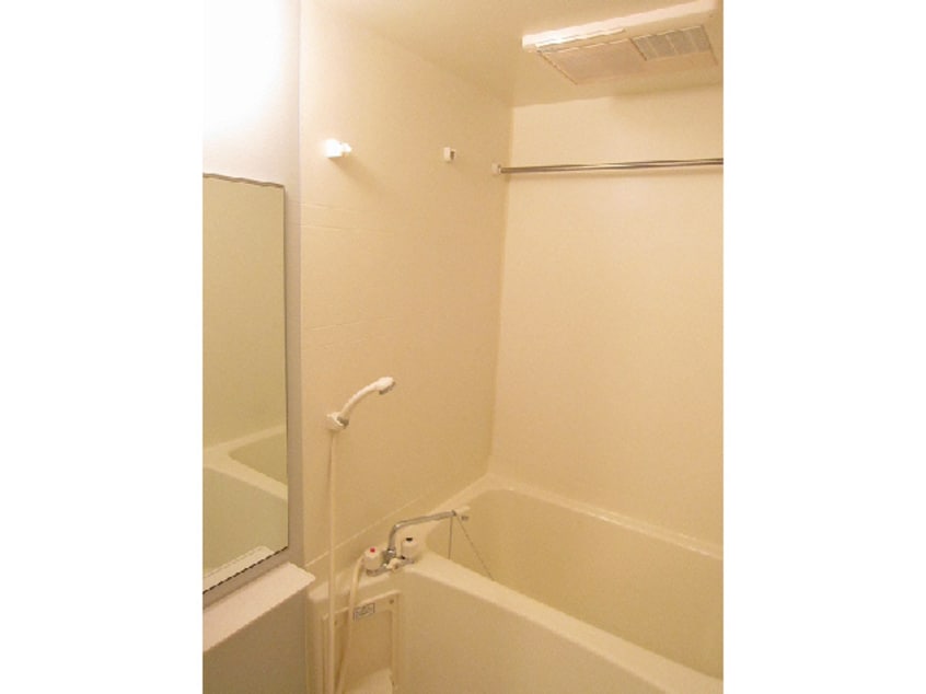  メイプレーヌ A