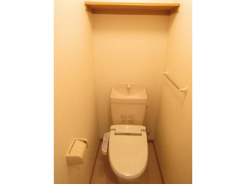  メイプレーヌ A