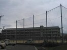 北島町立北島中学校(中学校/中等教育学校)まで1777m エテルノ A･B