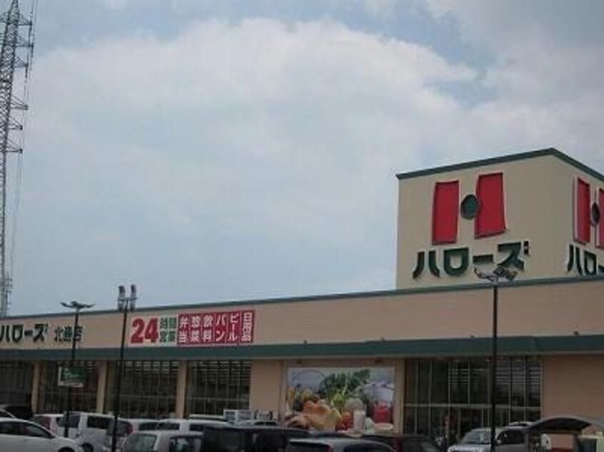 ハローズ北島店(スーパー)まで501m サンハウスⅣ