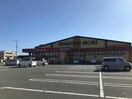 ドラッグストアモリ藍住店(ドラッグストア)まで400m アヴニール優　Ｂ･Ｃ