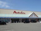マルナカ北島店(スーパー)まで756m ハピネス　北島Ｅ