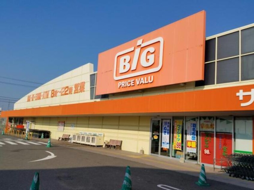 ザ・ビッグ北島店(ディスカウントショップ)まで4040m グレースコート　Ａ