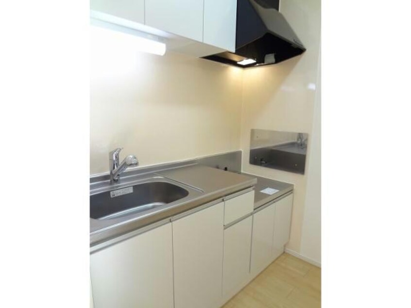  エルヴィータＡ