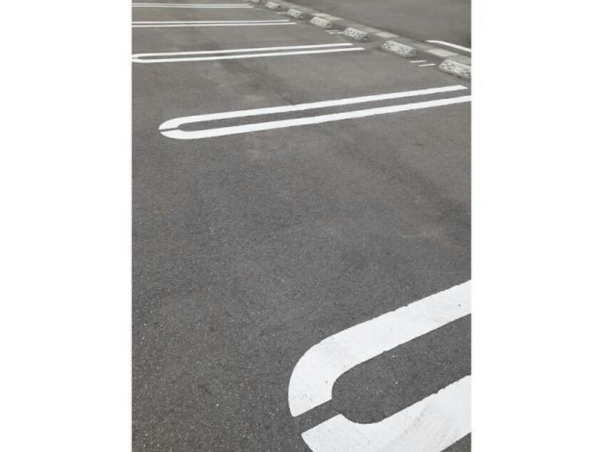  エルヴィータＢ