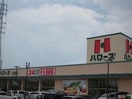 ハローズ北島店(スーパー)まで1514m ルミエール応神Ⅰ