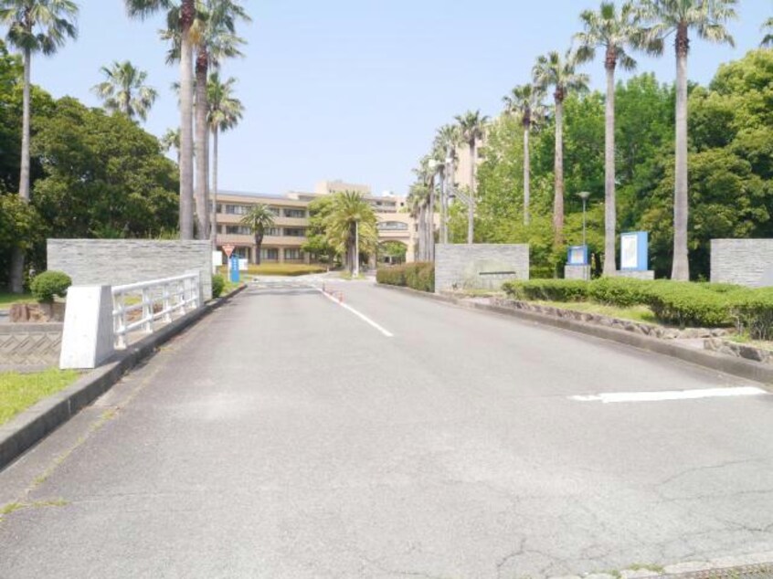 国立鳴門教育大学(大学/短大/専門学校)まで4317m メゾン　コンソラトゥールA・B