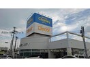 ドラッグストアチャーリー川内店(ドラッグストア)まで726m レイナ Ⅰ