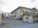 松茂町立喜来小学校(小学校)まで1605m パシャYz