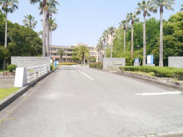 国立鳴門教育大学(大学/短大/専門学校)まで3533m Casa K&K