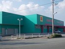 ディスカウントドラッグコスモス鳴門南店(ドラッグストア)まで1066m ロイヤルコートB棟