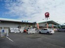 コメリハード＆グリーン土山店(電気量販店/ホームセンター)まで383m サンシティ土山