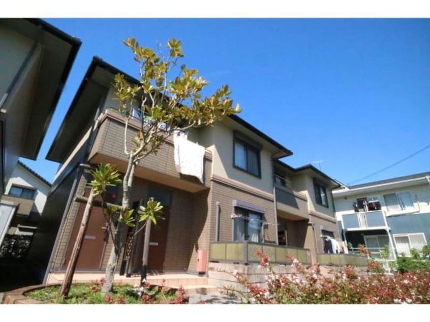 B リトルアグリン