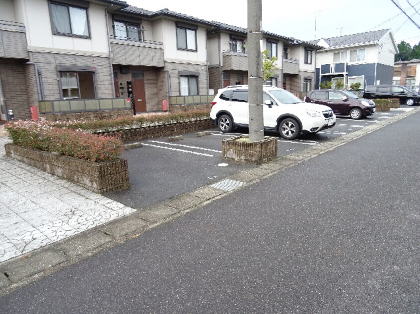  リトルアグリン