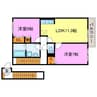 メゾンアルブル 2LDKの間取り