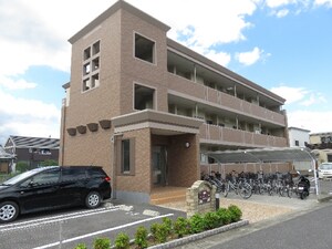 シーダーコート