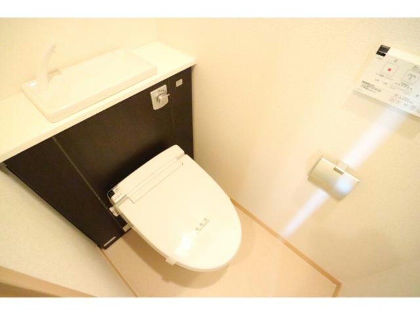  シーダーエース