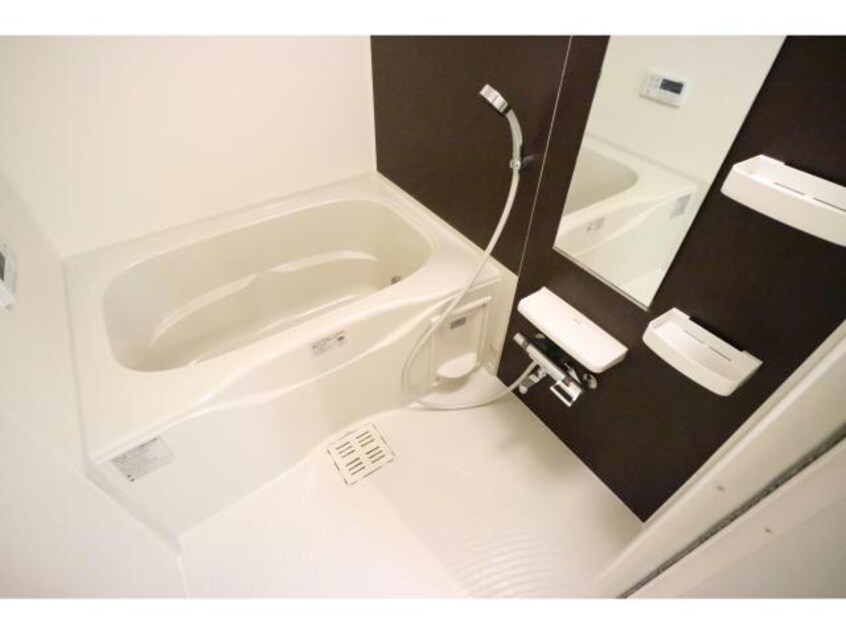  シーダーエース